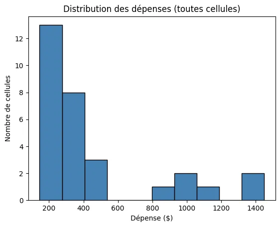 Histogramme : la plupart des dépenses sont basses, quelques-unes très élevées
